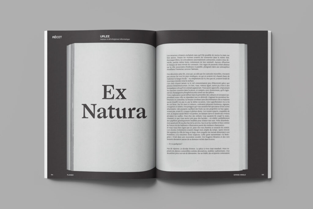Photo prise du dessus de la nouvelle intitulée Ex Natura en pleine page dans la revue Flaash.