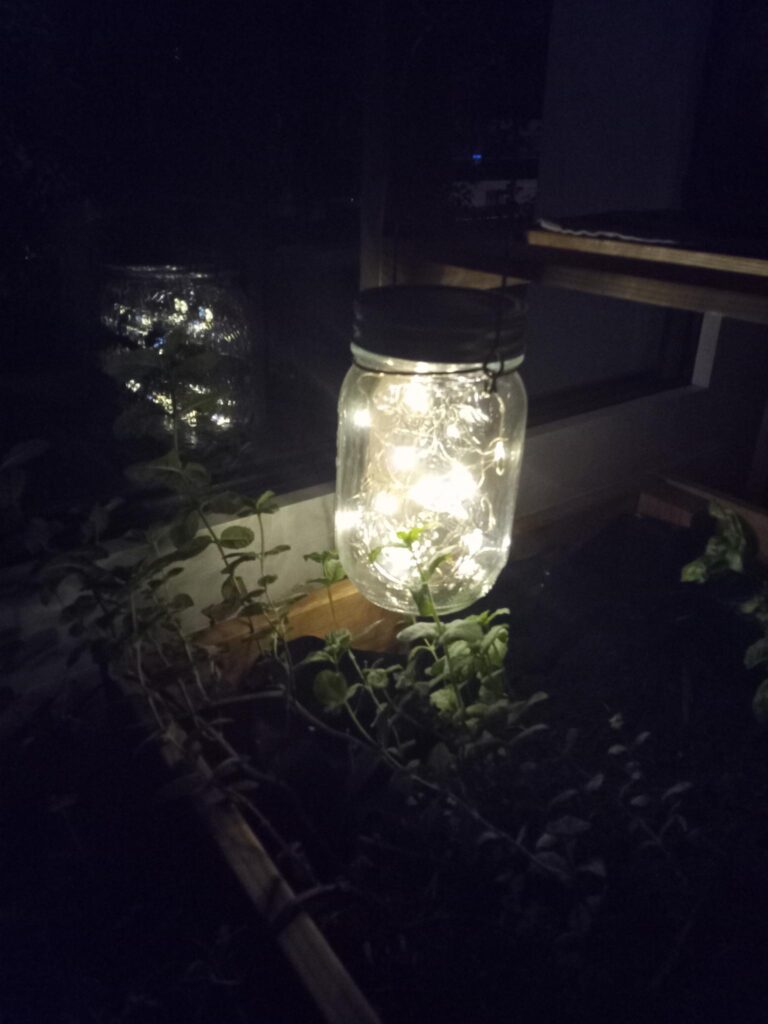 Photographie d'une guirlande lumineuse dans un bocal en verre. Des plantes dans un bac se détachent dans l'obscurité.